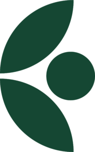 Key Visual der Stiftung Werner-von-Siemens-Ring in Dunkelgrün